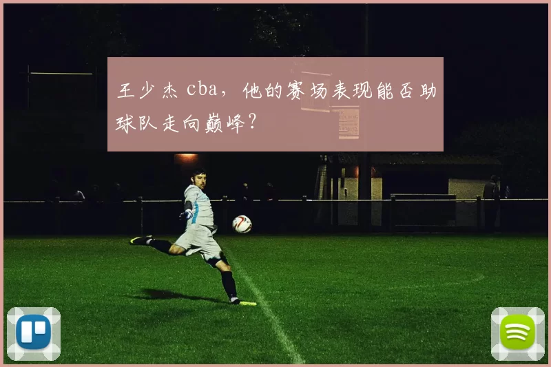 王少杰 cba，他的赛场表现能否助球队走向巅峰？