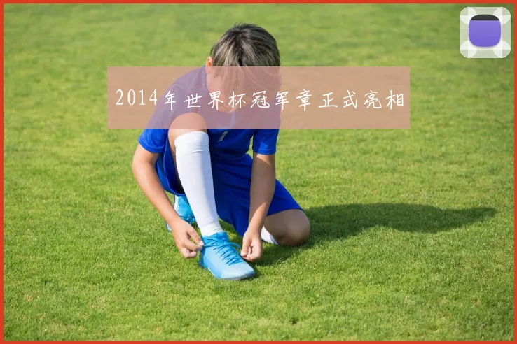 2014年世界杯冠军章正式亮相